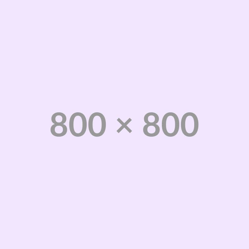 Alpha Model for Testing – Sample Product 10